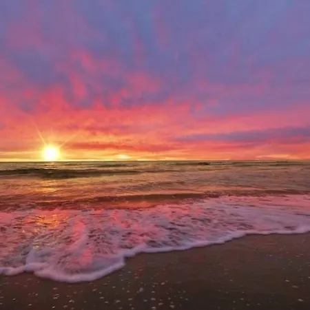 Situe A 20 Metres De La D Agosta Porticcio Albitreccia