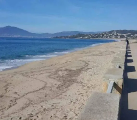 Appartement Situé à 20 Metres De La D Agosta Porticcio *