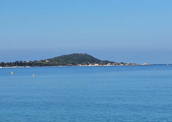 Situe A 20 Metres De La D Agosta Porticcio Lejlighed
